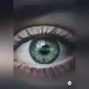 Постер книги Протокол