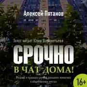 Постер книги Срочно в чат дома!