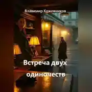 Постер книги Встреча двух одиночеств