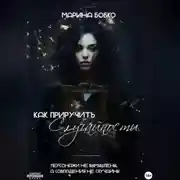 Постер книги Как приручить случайности