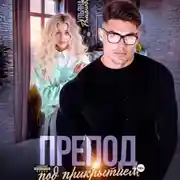 Постер книги Препод под прикрытием
