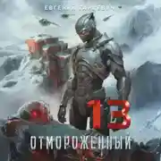 Постер книги Отмороженный 13.0