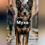 Постер книги Муха