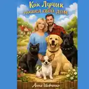 Постер книги Как Лучик нашёл свой дом