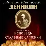 Постер книги Стальные сапожки