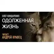 Постер книги Одолженная жизнь