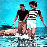 Постер книги На мели