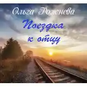 Постер книги Поездка к отцу