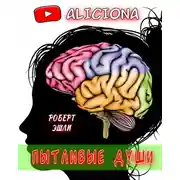 Постер книги Пытливые души