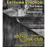 Постер книги Как Енька гостил в деревеньке