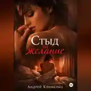 Постер книги Стыд за желание.
