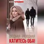 Постер книги Сводная-разводная. Катитесь оба!