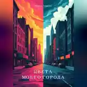 Постер книги Цвета моего города