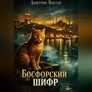 Постер книги Босфорский шифр