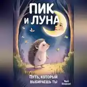 Постер книги Пик и Луна.Путь который выбираешь ты.