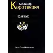 Постер книги Полешук
