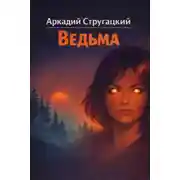 Постер книги Ведьма