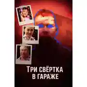 Постер книги Три свёртка в гараже