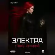 Постер книги Электра. Город молний