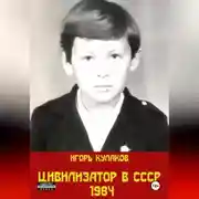 Постер книги Цивилизатор в СССР 1984
