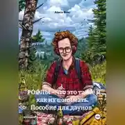 Постер книги "РОФЛЫ - что это такое и как их понимать. Пособие для даунов"
