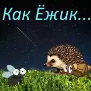 Постер книги Ёжик из нашего сада