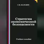 Постер книги Стратегия экономической безопасности