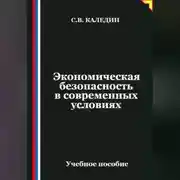 Постер книги Экономическая безопасность в современных условиях