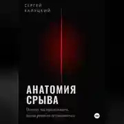 Постер книги Анатомия срыва. Почему мы продолжаем, когда решили остановиться.