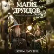 Постер книги Магия друидов