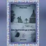 Постер книги Два брата или до и после