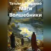 Постер книги Маги Волшебники