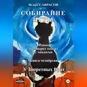 Постер книги Собирание игры. Книга четвёртая. У Запретных Врат