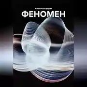 Постер книги ФЕНОМЕН