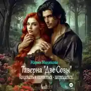 Постер книги Таверна «Две Совы». Колдовать и охотиться – запрещается!