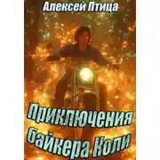 Постер книги Приключения байкера Коли