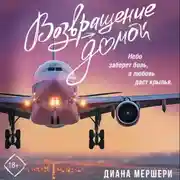 Постер книги Возвращение домой