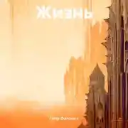 Постер книги Жизнь