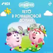 Постер книги Смешарики. Лето в Ромашковой долине