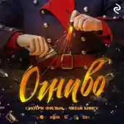 Постер книги Огниво