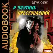 Постер книги В паутине преступлений