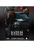 Софи Грассо - Казусы