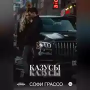 Постер книги Казусы
