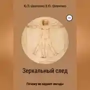 Постер книги Зеркальный след. Почему не падают звезды