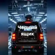 Постер книги Черный ящик
