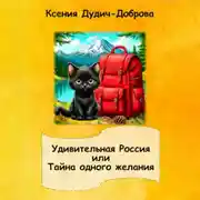 Постер книги Тайна одного желания