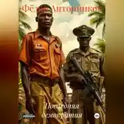 Постер книги Последняя демократия