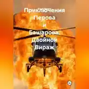 Постер книги Приключения Перова и Башарова. Двойной Вираж