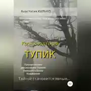Постер книги Кронштадтский тупик