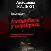 Постер книги Автомобиль у поребрика